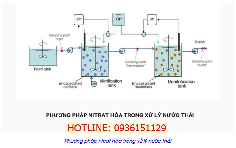 Phương pháp nitrat hóa trong xử lý nước thải